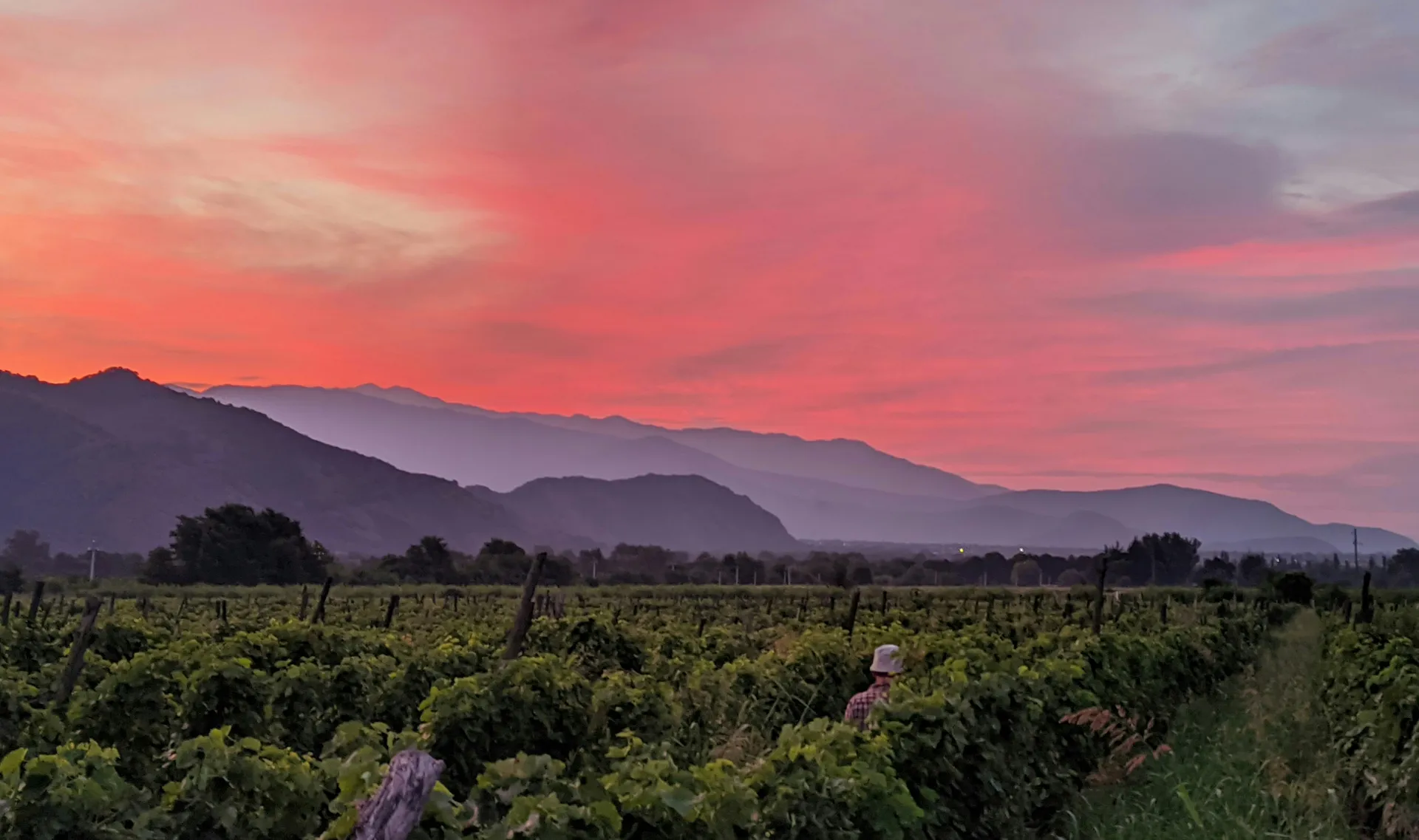 Kakheti Day Trip or Overnight: When Is a Second Day Actually Worth It?